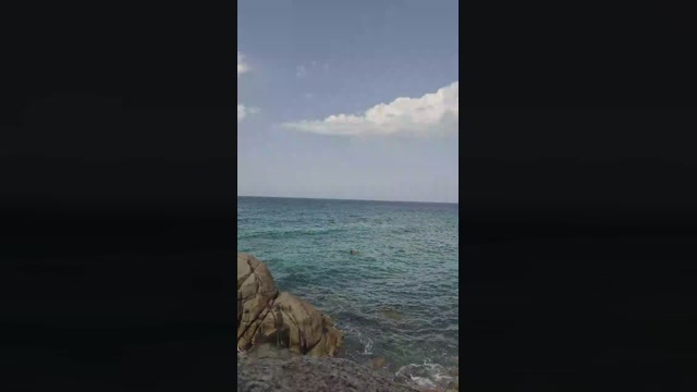 Belloedannato90  16-08-2022